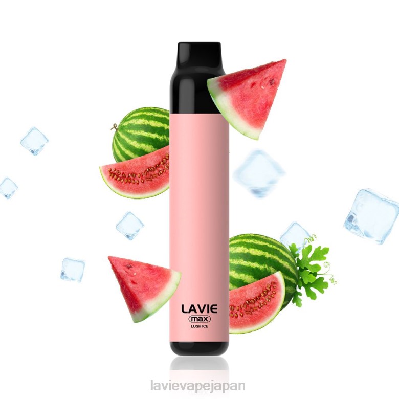 LAVIE Japan - LAVIE BAR 5000 パフ - 最大 豊かな氷 68P6277