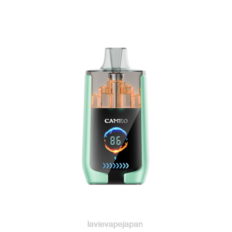 LAVIE Store Japan - LAVIE CAMEO 30000パフ ダブルアップル 68P620