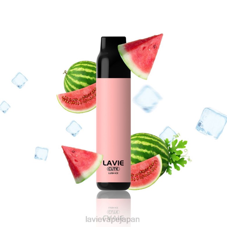 LAVIE Vape Japan - LAVIE BAR 3000パフ 豊かな氷 68P6285