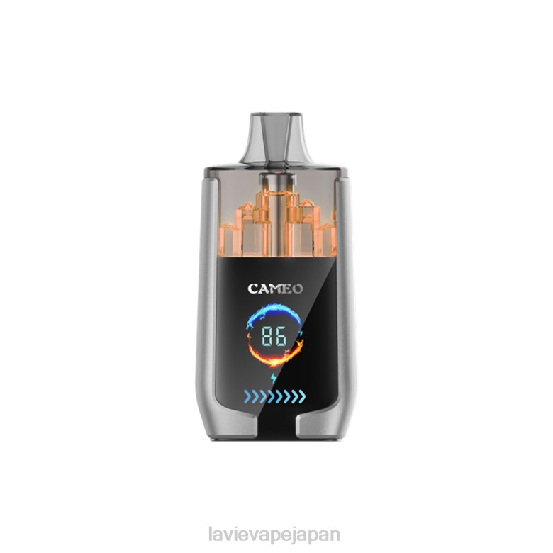 LAVIE Vape Japan - LAVIE CAMEO 30000パフ ブルーベリーアイス 68P615