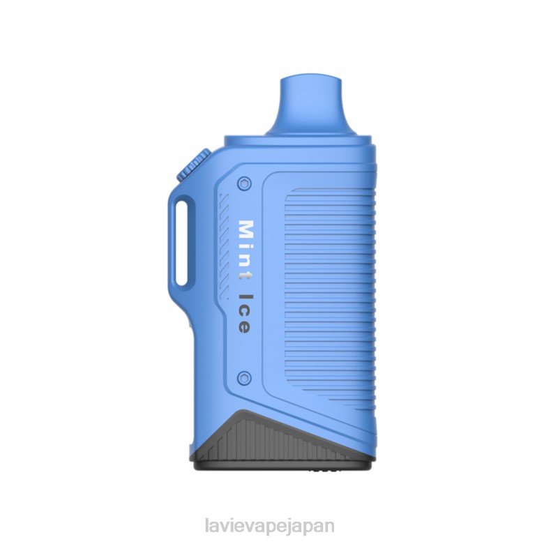 LAVIE 電子 煙 - LAVIE Energy Box 15000パフ ミントアイス 68P672